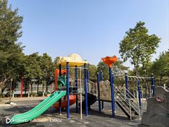 -飞来湖湿地公园