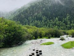 -稻城亚丁景区-冲古草甸