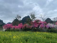 -靖西鹅泉风景区