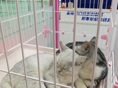 -全心全意连锁动物医院(石景山店)