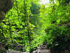 -十渡东湖港风景区