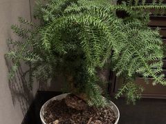 -萬國春·中菜馆(颐和公馆店)