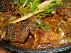 -老板恋上鱼(高新万达店)