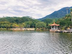 -深圳仙湖植物园