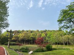 -宜兴龙背山森林公园