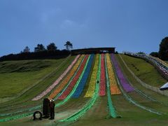 -衢州飞鸿滑草场