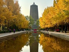 -玲珑塔公园