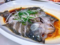 -华盛丰温州大排档(东三环南路店)