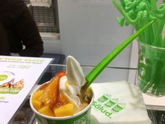 -Salud撒露欧洲冻酸奶(蓝色港湾店)