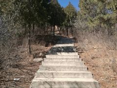 -北京西山国家森林公园