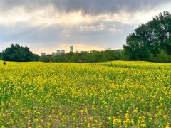 -长白岛森林公园