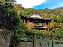 -十八棵（老龙井）御茶园(老龙井店)