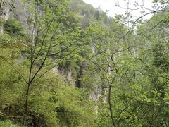 -蝶舞清江·恩施云顶景区(黄鹤峰林)