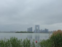 -金鸡湖景区