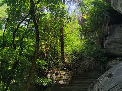 -梭布垭石林景区