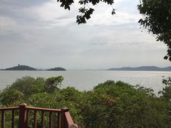 -上海市保健医疗中心(华东疗养院)