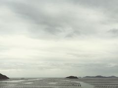 -北岐滩涂