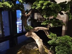 -杏花堂晋商私房菜(华熙五棵松店)