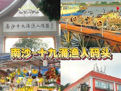 -大湾区中央湿地公园-十九涌