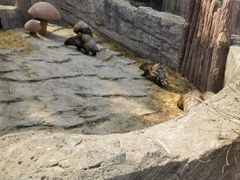 -沈阳森林动物园