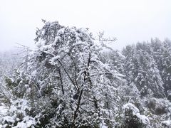 -硗碛藏寨·神木垒景区