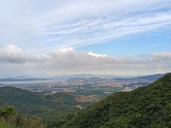 -田心森林公园
