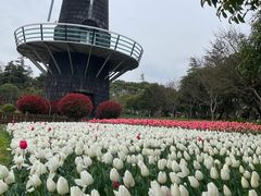 -上海鲜花港