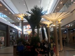 -杉杉奥特莱斯广场(哈尔滨店)