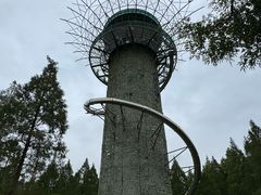 -黄海国家森林公园