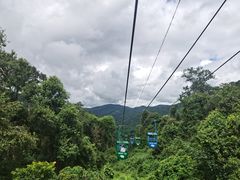 -野象谷景区