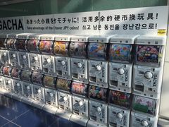 -中部国际机场
