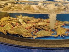 -上和臻品中国菜(花园街店)