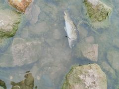 -丁香湖公园