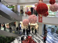 -百联临沂购物中心(临沂路店)
