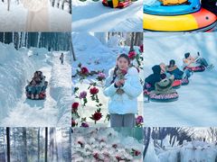 -洛阳白云山景区