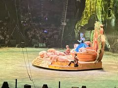 -广州长隆国际大马戏