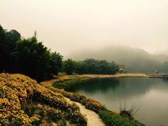 -广州市石门国家森林公园