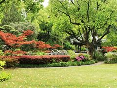 -申粤轩酒楼·三十年粤菜经典(丁香花园店)