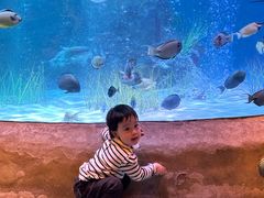 -沈阳海洋探索中心