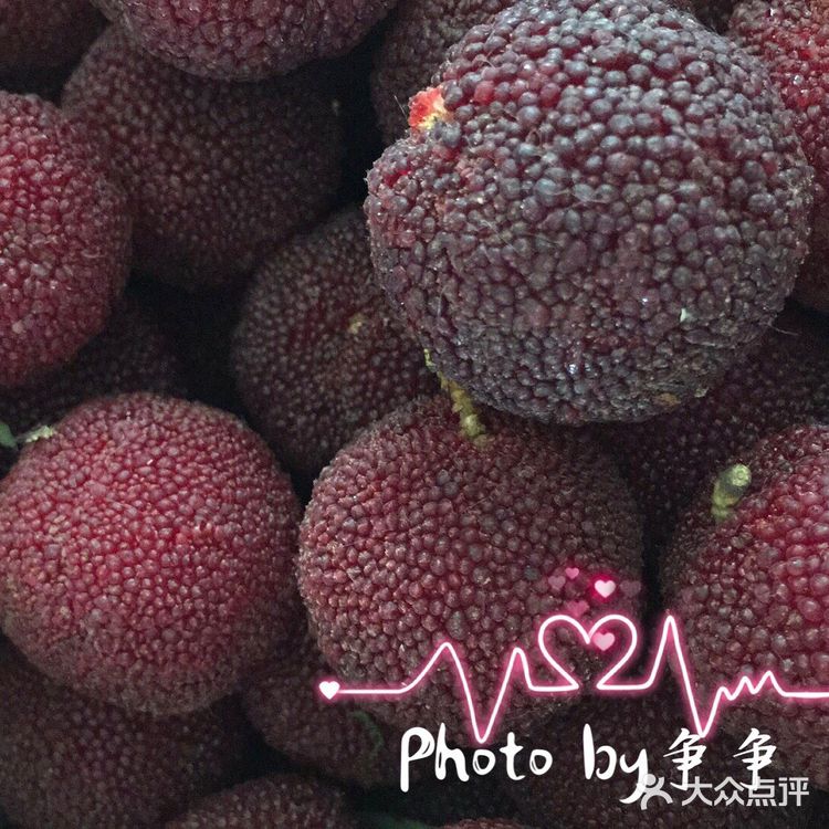 自制夏日当季饮品篇之杨梅汁