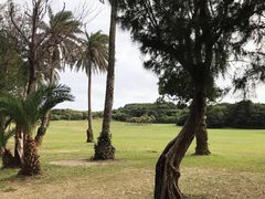 -鹅銮鼻公园