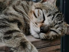 -旧雨咖啡·CoffeeFORU(黄村奥体店)