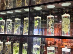 -广东中医药博物馆
