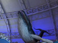 -烟台海昌鲸鲨海洋公园