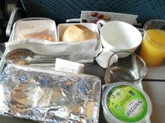 -新加坡航空公司(ION)