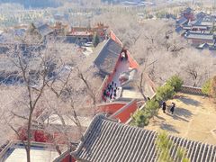 -五台山风景区