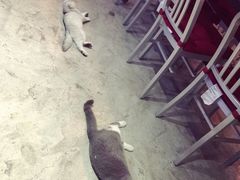 iphone_upload_pic-MIKAKU(万达广场上海宝山店)