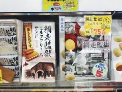 -网走流冰观光破冰船极光号