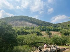 -金钉子远古世界景区