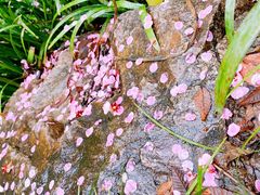 -杭州半山国家森林公园